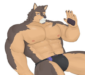 5_fingers anthro biped black_pawpads brown_body brown_fur bulge claws clothed clothing fingers fur humanoid_hands male multicolored_body multicolored_fur muscular muscular_anthro muscular_male nipples pawpads pecs solo speedo speedo_only swimwear tan_body tan_fur topless two_tone_body two_tone_fur pagogo lifewonders live_a_hero pubraseer canid canine canis domestic_dog mammal hi_res