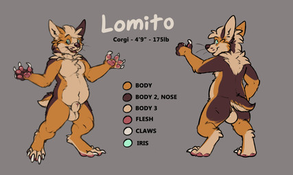 animal_genitalia anthro balls brown_body brown_fur front_view fur genitals grey_background looking_at_viewer looking_back looking_back_at_viewer male male_anthro nude nude_anthro nude_male orange_body orange_fur pawpads penis penis_tip pink_penis rear_view sheath simple_background slightly_chubby slightly_chubby_anthro slightly_chubby_male smile smiling_at_viewer solo standing stated_height stated_weight tail tan_body tan_fur text whiskers mintyderg lomito_(mintyderg) canid canine canis domestic_dog herding_dog mammal pastoral_dog welsh_corgi 2019 5:3 absurd_res english_text hi_res model_sheet