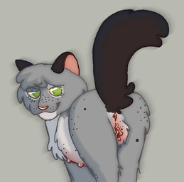 anus butt female feral freckles fur genitals green_eyes grey_body grey_fur head_tuft looking_at_viewer nipples pink_nipples pink_nose pink_vulva plump_labia pregnant pregnant_feral presenting presenting_anus presenting_hindquarters presenting_vulva raised_tail simple_background solo swollen_belly swollen_nipples tail toony tuft tufted_fur vulva yellow_sclera jinglecide warriors_(book_series) ferncloud_(warriors) domestic_cat felid feline felis mammal shaded
