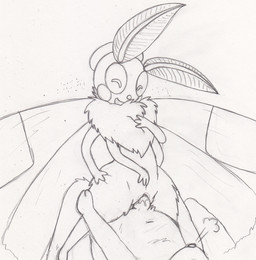 anthro bodily_fluids cowgirl_position cum cum_inside duo erection female female_on_top female_penetrated from_front_position genital_fluids genitals insect_wings male male/female male_on_bottom male_penetrating male_penetrating_female multi_limb nude on_bottom on_top penetration penile penile_penetration penis penis_in_vagina sex straddling vaginal vaginal_penetration vulva wings hybridprojectalpha arthropod insect lepidopteran moth hi_res