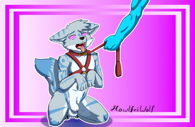 animal_genitalia animal_penis anthro balls blue_markings canine_genitalia canine_penis collar duo flaccid fur genitals gradient gradient_background grey_body grey_fur hands_up harness hypnosis hypnotic_eyes kneeling leash looking_up male markings mind_control open_mouth penis pink_eyes ringed_eyes sheath simple_background solo_focus submissive submissive_male tail teeth tongue tongue_out howlfeiwolf howlfei canid canine canis mammal wolf cel_shading digital_drawing_(artwork) digital_media_(artwork) hi_res shaded signature