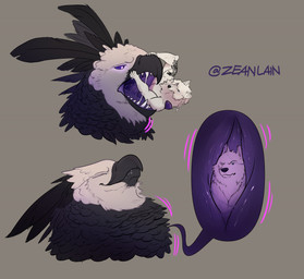 anthro beak black_body black_feathers duo feathers forced fur internal macro macro_pred male male/male male_pred micro micro_prey neck_bulge oral_vore purple_eyes struggling struggling_prey swallowing teeth tongue unwilling_prey vore white_body white_feathers white_fur willing_pred zeanlain zeanlain_(character) accipitrid accipitriform avian bird canid canine canis eagle harpy_eagle mammal wolf 2021 colored signature