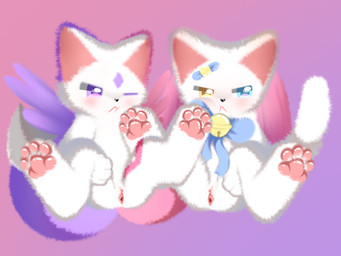 angry blush duo female female/female fur genitals multicolored_body multicolored_tail spread_legs spreading tail vaginal vulva white_body white_fur wings shiningcanc domestic_cat felid feline felis mammal 4:3 hi_res