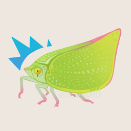 6_limbs ambiguous_gender feet feral green_body looking_at_viewer markings multi_limb pink_feet side_view simple_background solo spots spotted_body surprised white_background yellow_sclera cuttledreams arthropod insect planthopper torpedo_bug true_bug 1:1 digital_drawing_(artwork) digital_media_(artwork) watermark