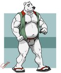 anthro belly bulge clothing fur humanoid_hands male moobs nipples overweight overweight_anthro overweight_male solo topwear underwear vest white_body white_fur chestnuts_(artist) doginflipflops bear mammal polar_bear ursine 2016