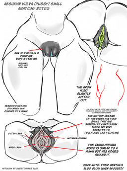 anatomy anthro biped blue_vulva butt female genitals green_vulva inner_labia non-mammal_vulva notes nude simple_background text unusual_anatomy unusual_genitalia urethra vulva sweet_chubbs absukian aquatic fish hybrid shark 2022 dated digital_media_(artwork) english_text hi_res