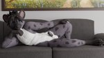 anthro belly erection fur furniture grey_body grey_fur lying male realistic_penis_size sofa solo white_belly fox_the_hyena fox_the_hyena_(character) hyena mammal spotted_hyena 16:9 hi_res widescreen