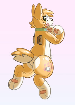 female inflatable latex pool_toy solo squeakdepot animate_inanimate canid canine living_inflatable mammal