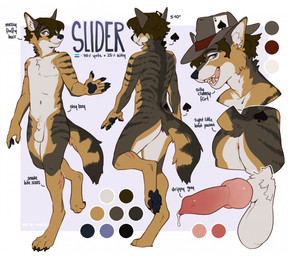 ace_of_spades animal_genitalia animal_penis anthro anus balls bodily_fluids canine_genitalia canine_penis character_description clothing fedora genital_fluids genitals hat headgear headwear leg_scar lgbt_pride male penis precum pride_colors scar sheath solo stripes tattoo vincian_pride_colors kyrosh canid canine canis coyote felid feline hybrid mammal hi_res model_sheet