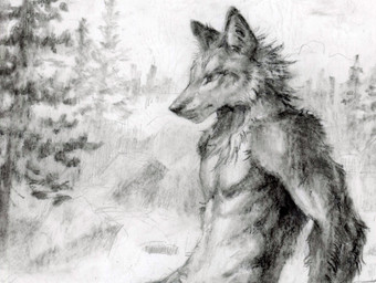 anthro cheek_tuft chest_tuft facial_tuft male male_anthro mouth_closed narrowed_eyes neck_tuft outside plant rock solo tree tuft akatan_art canid canine mammal charcoal_(artwork) half-length_portrait hi_res monochrome portrait sketch traditional_media_(artwork)