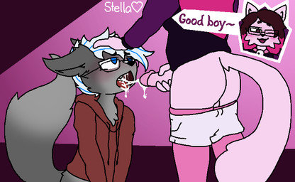 anthro bell bell_collar blue_eyes blue_hair bodily_fluids bottomwear bottomwear_down brown_hair clothed clothing collar cum cum_in_mouth cum_inside cumshot dialogue duo ejaculation eyewear fluffy fluffy_tail fur genital_fluids glasses good_boy grey_body grey_fur gynomorph hair hand_on_head hoodie intersex intersex/male magenta_hair male multicolored_hair pants pants_down partially_clothed pink_body pink_fur purple_eyes tail text topwear white_hair couldbestella starry_(couldbestella) canid canine domestic_cat felid feline felis fox mammal digital_media_(artwork) english_text hi_res signature trans_(lore) trans_woman_(lore)