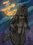 anthro bared_teeth black_body black_fur black_hair breasts claws cloud evergreen_tree fangs featureless_breasts featureless_crotch female forest forest_background full_moon fur hair long_hair looking_at_viewer moon naturally_censored nature nature_background night nude orange_eyes outside pine_tree plant sharp_teeth solo standing teeth tree moonshiftmnstrs mythology canid canine mammal mythological_canine mythological_creature werecanid werecanine werecreature werewolf absurd_res hi_res signature