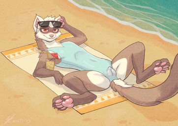 animal_genitalia animal_vulva anthro beach beverage brown_body brown_fur camel_toe canine_genitalia canine_vulva canine_vulva_outline clothing eyelashes eyewear female fur genital_outline genitals half-closed_eyes inner_ear_fluff lemonade lying narrowed_eyes on_back one-piece_swimsuit pawpads paws red_eyes sand sea smile smirk solo spread_legs spreading sunglasses swimwear tuft vulva vulva_outline water white_body white_fur arcticos domestic_ferret mammal mustelid musteline true_musteline weasel absurd_res hi_res