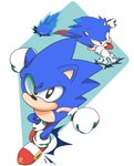 anthro black_eyes blue_body blue_fur clothing fist footwear fur gloves handwear male multiple_poses pose shoes simple_background solo white_background mennnntaiko classic_sonic_(universe) sega sonic_the_hedgehog_(series) classic_sonic sonic_the_hedgehog eulipotyphlan hedgehog mammal 2020 digital_media_(artwork) hi_res multiple_images