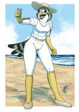 anthro beach bottomless bottomless_female clothed clothing crop_top dress female footwear genitals hat headgear headwear selfie shirt shoes solo summer sun_hat sundress topwear vulva fish_birb evy_(fish_birb) american_kestrel avian bird falcon falconid kestrel 2024 absurd_res hi_res
