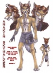 abstract_background angry anthro blue_eyes boxers_(clothing) brown_hair chest_tuft clothing cybernetics facial_scar grin hair jedi machine male nude prosthetic scar simple_background smile solo tail text tuft underwear cockiestspaniel family_guy star_wars anakin_skywalker darth_vader stewie_griffin black-backed_jackal canid canine canis jackal mammal english_text