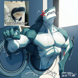 angry anthro anthrofied appliance claws cross-popping_vein gesture gills hand_gesture humor inside laundry_machine looking_at_viewer male muscular muscular_anthro muscular_male nude plushie pointing pointing_at_viewer sharp_teeth solo stuck teeth washing_machine wet fansl ikea blahaj aquatic fish shark 2022 digital_media_(artwork) half-length_portrait hi_res portrait redraw reference_image
