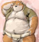 anthro asian_clothing barazoku belly big_belly blush bodily_fluids clothed clothing east_asian_clothing fundoshi hand_on_head hoodie japanese_clothing kemono looking_aside male mawashi muscular muscular_anthro muscular_male nose_steam obese obese_anthro obese_male overweight overweight_anthro overweight_male partially_clothed simple_background solo sumo sweat topwear underwear white_clothing white_underwear kotobuki canid canine canis domestic_dog mammal 2016 portrait three-quarter_portrait