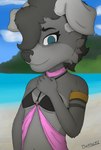 anthro beach bikini clothing female seaside smile solo summer swimwear two-piece_swimsuit water darkholm1 bianca_(darkholm1) canid canine canis domestic_dog mammal wolf absurd_res colored hi_res