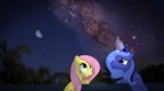 16:9 blue_body blue_eyes blue_feathers blue_hair duo equid equine feathered_wings feathers female feral fluttershy_(mlp) friendship_is_magic hair hasbro horn long_hair mammal mixed_media moon my_little_pony mythological_creature mythological_equine mythology night outside pegasus pink_hair plant ponies_in_real_life princess_luna_(mlp) real sky star starry_sky tree unknown_artist widescreen winged_unicorn wings wood yellow_body yellow_feathers