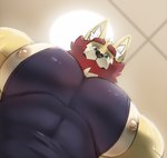 anthro big_pecs clothing fur looking_at_viewer looking_down low-angle_view male muscular muscular_anthro muscular_male nipples pecs shirt solo tank_top topwear worm's-eye_view mafekoba pec_pov_meme akita akita_inu canid canine canis domestic_dog mammal spitz 2024 meme