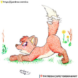 3_toes ass_up brown_nose butt feet female feral flower fur grass looking_back open_mouth patreon_logo patreon_username paws plant raised_tail red_body red_fur shy smile solo spread_legs spreading submissive submissive_female tail tail_grab text toes yordraw jungledyret_hugo patreon rita_(jungledyret) canid canine fox mammal red_fox true_fox 1:1 hi_res painting_(artwork) traditional_media_(artwork) traditional_painting_(artwork) url