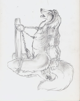 anthro balls bdsm biped bondage bound chain collar erection eyes_closed genital_piercing genitals kneeling male nipple_piercing nipples nude open_mouth penis penis_piercing piercing pole prince_albert_piercing rope simple_background solo submissive submissive_male white_background heather_bruton canid canine canis collie domestic_dog herding_dog mammal pastoral_dog sheepdog 2015 black_and_white monochrome