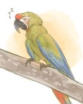 ambiguous_gender blue_body blue_feathers eyes_closed feathers feral green_body green_feathers happy multicolored_body multicolored_feathers perch red_body red_feathers sleeping smile solo sound_effects vowelless vowelless_sound_effect zzz oddiitea ara_(genus) avian bird great_green_macaw macaw neotropical_parrot parrot true_parrot