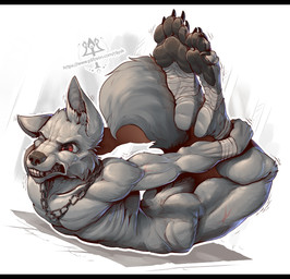 anthro black_bars chain_necklace claws feet foot_focus fur gymnastics jewelry male necklace nude pawpads paws shaking soles solo tail teeth toes trembling kredri canid canine canis mammal wolf letterbox