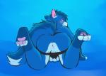 all_fours anthro anus backsack balls blue_body blue_fur blush butt butt_pose clothed clothing feet fluffy fluffy_tail fur genitals hindpaw inner_ear_fluff jockstrap looking_at_viewer looking_back male partially_clothed pawpads paws pink_pawpads pose presenting presenting_hindquarters simple_background solo tail tail_aside topless tuft underwear underwear_down white_body white_fur tohfu azureblues domestic_cat felid feline felis mammal blue_theme hi_res
