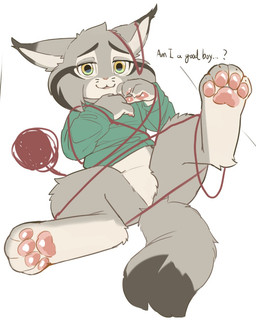 animal_behavior anthro asking ball_of_yarn bottomless bottomless_male clothed clothing crotch_tuft dialogue entangled featureless_crotch good_boy green_clothing green_sweater green_topwear hand_pawpads kemono looking_at_viewer lying male on_back open_mouth pawpads simple_background solo sweater talking_to_viewer text topwear tuft white_background yarn young young_anthro young_male hauhau_mg disney zootopia pawbert_lynxley canada_lynx felid feline lynx mammal 2025 chinese_description english_text hi_res
