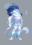 abs anthro blue_body blue_fur fur hair male multicolored_body multicolored_fur muscular muscular_anthro muscular_male pecs simple_background solo two_tone_body two_tone_fur white_body white_fur white_hair ixkouu genshin_impact mihoyo andrius_(genshin_impact) canid canine canis mammal wolf 2021 digital_media_(artwork) hi_res