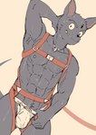 abs anthro armpit_hair bodily_fluids body_hair bulge harness jewelry male muscular muscular_male necklace pecs solo sweat leeksaltboy ken_(leeksaltboy) canid canine canis domestic_dog mammal