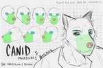 :3 anthro black_text blue_eyeshadow exclamation_point eyeshadow front_view fur geometric_background green_snout grid_background makeup male multiple_angles open_:3 orthographic pattern_background pointy_ears prick_ears red_nose side_view simple_background snout solo text three-quarter_view white_background kittydisk canid mammal artist_name english_text headshot_portrait hi_res model_sheet multiple_images partially_colored portrait species_name