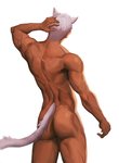 butt hair male muscular muscular_humanoid muscular_male nude rear_view scar simple_background solo tan_body tan_skin white_background white_hair tengo animal_humanoid cat_humanoid felid felid_humanoid feline feline_humanoid humanoid mammal mammal_humanoid 2020 hi_res