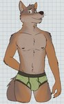 anthro arm_hair biped body_hair briefs briefs_only brown_body brown_eyebrows brown_eyes brown_fur brown_nipples brown_nose bulge checkered checkered_background clothed clothing eyebrows fur green_briefs green_clothing green_underwear hand_behind_back happy_trail looking_at_viewer male male_anthro multicolored_body navel nipples open_mouth orange_body orange_fur partially_clothed partially_clothed_male pattern_background simple_background slim solo standing tan_body tan_fur tan_inner_ear topless underwear underwear_only whiskers white_background unsafescapewolf arches_(game) echo_(series) echo_project cameron_wilson canid canine canis coyote mammal 2024 digital_drawing_(artwork) digital_media_(artwork) hi_res portrait three-quarter_portrait