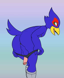 anus average_penis backsack balls beak bending_down bent_over blue_body butt butt_focus clothed clothing erection genitals humanoid_genitalia humanoid_penis looking_at_viewer looking_back looking_back_at_viewer male nipples partially_clothed penis penis_backwards perineum playful presenting presenting_anus presenting_balls presenting_hindquarters presenting_penis raised_tail solo standing tail topless underwear underwear_down undressing undressing_self fourssss nintendo star_fox falco_lombardi avian 2025 colored digital_drawing_(artwork) digital_media_(artwork) hi_res
