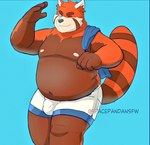 anthro belly big_belly biped black_nose blue_background bottomwear brown_body bulge clothing detailed_bulge male male_anthro moobs nipples one_eye_closed orange_body overweight overweight_male shorts simple_background solo wink spacepanda ailurid mammal red_panda 2024