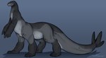 claws flippers fur grey_body grey_fur male short_fur solo tail toe_claws lycaenops oleander_(lycaenops) leopard_seal mammal mammal_taur marine marine_taur pinniped pinniped_taur seal seal_taur taur absurd_res hi_res model_sheet