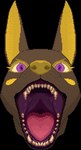 ear_twitch eyeliner fangs feral front_view gold_ears gold_nose makeup male mouth_shot open_mouth purple_eyes solo teeth tongue vorochi anubian_jackal canid canine canis jackal mammal animated digital_media_(artwork) low_res pixel_(artwork) short_playtime