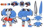 abs anthro beak biceps big_muscles big_pecs butt clothed clothing huge_muscles hyper hyper_muscles male muscular muscular_anthro muscular_male pecs simple_background solo text topless white_background demondragoncyan avian english_text model_sheet