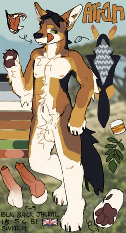 animal_genitalia animal_penis anthro balls black_body black_fur canine_genitalia canine_penis erection foreskin fully_sheathed fur genitals grey_body grey_fur humanoid_genitalia humanoid_penis knot knotted_penis licking licking_lips male male_anthro nipples nude nude_anthro nude_male open_mouth pawpads penis red_penis sheath solo standing tail tan_body tan_fur teeth tongue tongue_out white_body white_fur tikodoodles black-backed_jackal canid canine canis jackal mammal hi_res model_sheet