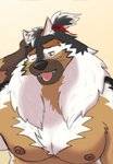 anthro male muscular muscular_anthro muscular_male nipples nude solo tongue tongue_out gintrieu tatsune haki_(bogexboog) canid canine canis domestic_dog mammal