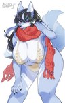 anthro big_breasts bikini black_hair blue_body blue_fur breasts clothed clothing female female_anthro fingers fur hair kemono looking_at_viewer purple_eyes solo sweater swimwear tail topwear two-piece_swimsuit lemoco ookami-chan_(kim_3022) canid canine canis mammal wolf digital_media_(artwork) hi_res