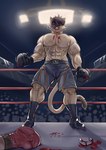 abs anthro athletic athletic_male black_hair blood bodily_fluids boxing boxing_gloves boxing_shorts bruised bruised_face cheek_tuft clothed clothing detailed_background eyebrow_through_hair eyebrows facial_tuft fighting_ring footwear fur group hair handwear inside male motion_lines mouthguard muscular muscular_male shoes short_hair solo_focus sport standing tan_body tan_fur topless translucent translucent_hair tuft whiskers thedarkzircon domestic_cat felid feline felis mammal 2025 hi_res