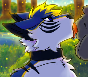 anthro blue_body blue_eyes blue_fur collar deep_throat duo fellatio forest fur genitals grey_body grey_fur knot knotted_penis knotting lake male male/male oral oral_knotting oral_penetration penetration penile penis plant sex tongue tree water artywolf bluefiger digitfox canid canine canis mammal wolf hi_res
