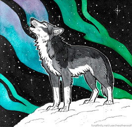 ambiguous_feral ambiguous_gender aurora_(phenomenon) black_body black_fur black_nose ears_back eyes_closed fangs feral fur grey_body grey_fur howl inner_ear_fluff leg_markings markings night open_mouth outside pivoted_ears snow snowing socks_(marking) solo star teeth tuft whiskers white_body white_fur white_inner_ear_fluff heatherwolf canid canine canis mammal wolf hi_res
