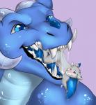 2018 ambiguous_gender ambiguous_pred animal_genitalia animal_penis anthro anthro_on_anthro barefoot belly black_claws blue_body blue_eyes blue_fur blue_skin blue_tongue blush bodily_fluids body_in_mouth claws collar collar_only cute_fangs dipstick_ears dragon drooling duo ear_markings erection extreme_size_difference fangs feet feet_first feral fur furred_dragon furred_scalie genitals grey_body grey_fur grey_tail hi_res hindpaw horn inner_ear_fluff larger_ambiguous male male_prey multicolored_ears mythological_creature mythological_scalie mythology nude open_mouth oral_vore partially_inside paws penis red_penis saliva scalie senky size_difference smaller_male soft_vore tail tapering_penis teeth tiger_blueberry toe_claws tongue tongue_out tuft vore white_belly white_body white_fur white_horn white_tail