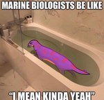 bathroom bathtub countershading female feral humor inside partially_submerged photo_background real shitpost snake_hood solo text water what ncs keeshee cobra lamarian legged_snake reptile scalie snake 2022 draw_over english_text hi_res meme photography_(artwork)