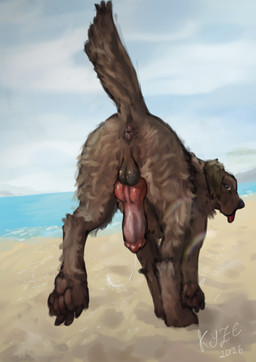 anatomically_correct anatomically_correct_genitalia anatomically_correct_penis animal_genitalia animal_penis anus balls beach blurred_background bodily_fluids brown_body brown_fur butt canine_genitalia canine_penis digitigrade dripping erection feral fur genital_fluids genitals knot knotted_penis lens_flare male paws penis precum precum_drip precum_string presenting presenting_anus presenting_penis quadruped raised_tail sand solo tail tongue tongue_out el_kyze troy_(invitedrhino) bird_dog canid canine canis domestic_dog hunting_dog labrador mammal retriever 2026 hi_res signature